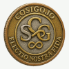 Cosigo origin token